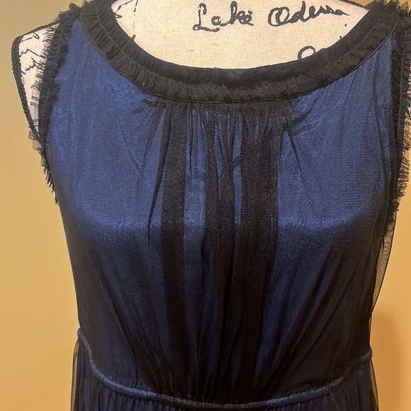 Rare Anthropologie Stilled Night Lace and Tulle Dress Small - Picture 2 of 7